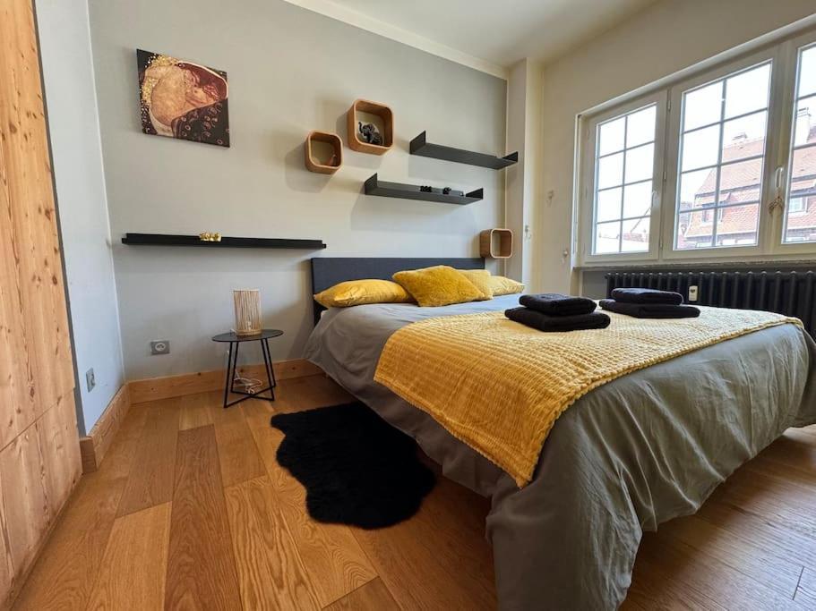 L'arsenal - Centre - Poche Commerces & Restaurant - 6 P Apartment Selestat