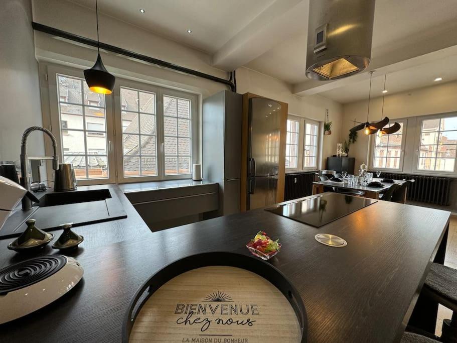 L'arsenal - Centre - Poche Commerces & Restaurant - 6 P Apartment Selestat
